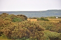 Holiday Dorset_0956